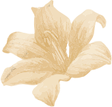 calla-wren